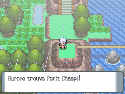Route 212 Petit Champi DP.png