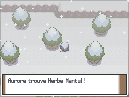 Fichier:Route 216 Herbe Mental Pt.png