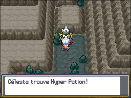 Mont Creuset Hyper Potion 3 HGSS.png