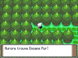 Route 221 Encens Pur Pt.png