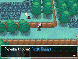 Autel Abondance Petit Champi 1 NB.png