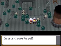 Tour Cendrée Rappel HGSS.png