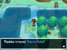 Fichier:Tourbière Flocombe Pierre Aube N2B2.png