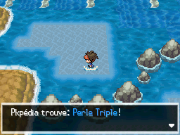 Fichier:Chenal 17 Perle Triple N2B2.png
