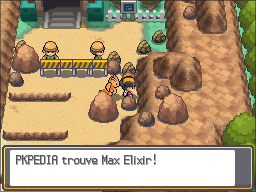 Chenal 19 Max Élixir HGSS.png