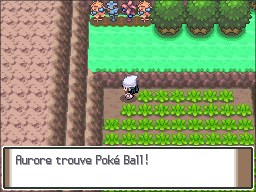 Route 207 Poké Ball 2 Pt.png