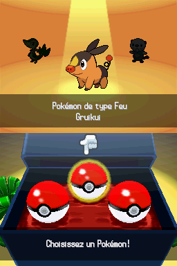 Choix Starter NB.png