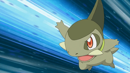 Fichier:NB125 - Coupenotte d'Iris.png