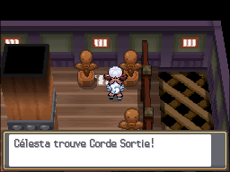 Tour Chétiflor Corde Sortie HGSS.png