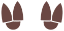 Empreintes 0286 DEPS.png