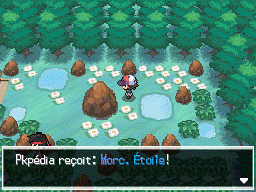 Forêt d'Empoigne Morc. Étoile NB.png