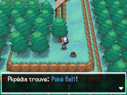 Route 2 Poké Ball NB.png