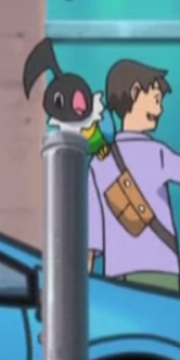 Pijako XY001.png