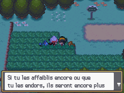 Route 29 Capture 2 HGSS.png