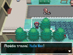 Route 9 Huile Max NB.png