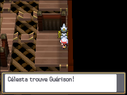 Tour Carillon Guérison HGSS.png