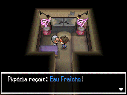 Fichier:Arène d'Ondes-sur-Mer Eau Fraîche N2B2.png