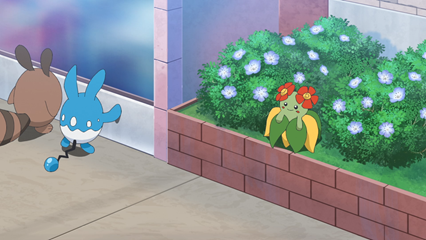 Fichier:LH077 - Joliflor.png