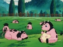 Ranch Meumeu animé.jpg