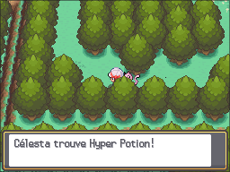 Route 36 Hyper Potion HGSS.png