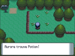 Rive Lac Vérité Potion DP.png