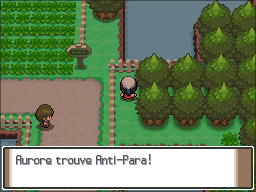 Route 204 Anti-Para Pt.png