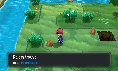 Fichier:Route 22 Guérison XY.png