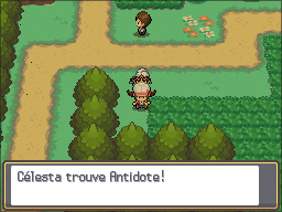 Route 30 Antidote HGSS.png