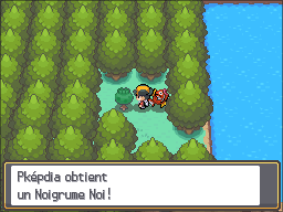 Route 43 Noigrume Noire HGSS.png