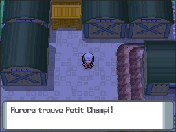 Voilaroc Petit Champi DP.png