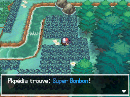 Bois des Illusions Super Bonbon NB.png