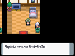 Fichier:Manoir Pokémon Anti-Brûle DP.png