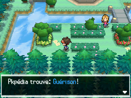 Fichier:Ogoesse Guérison N2B2.png