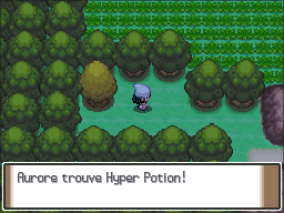 Route 213 Hyper Potion Pt.png
