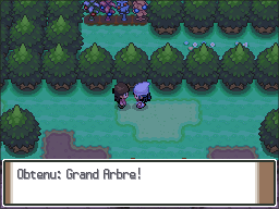 Forêt Vestigion Grand Arbre Pt.png