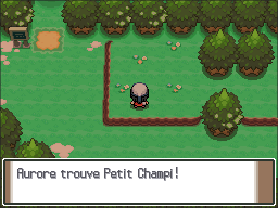 Rive Lac Vérité Petit Champi Pt.png