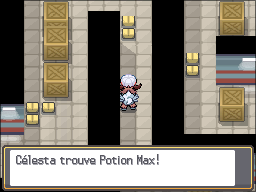 Doublon-Tunnel Potion Max HGSS.png