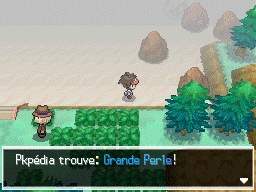 Fichier:Route 14 Grande Perle N2B2.png