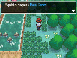Route 6 Baie Ceriz 1 NB.png