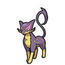 Léopardus