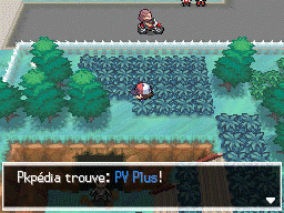 Route 9 PV Plus NB.png