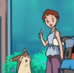 Fouinar XY001.png