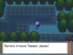 Grand Marais Tesson Jaune Pt.png