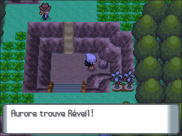 Route 209 Réveil DP.png