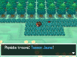 Fichier:Route 12 Tesson Jaune N2B2.png