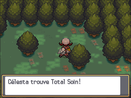 Bois aux Chênes Total Soin HGSS.png