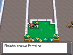 Fichier:Dôme Pokéathlon Protéine HGSS.png