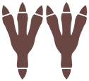 Empreintes 0277 DEPS.png