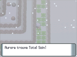 Mont Couronné Total Soin DP.png