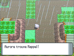 Route 212 Rappel 2 Pt.png